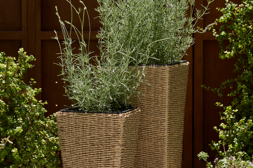 Κέρδος 20-50% σε επιλεγμένες γλάστρες κήπου*