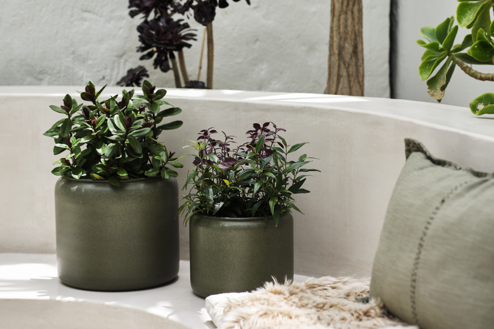 Κέρδος 20-50% σε επιλεγμένες γλάστρες κήπου*