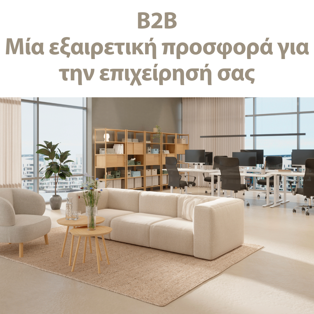 B2B - Μία εξαιρετική προσφορά για την επιχείρησή σας
