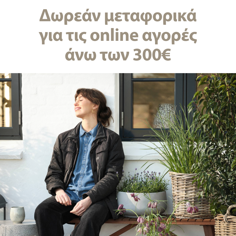 Δωρεάν μεταφορικά για τις online αγορές άνω των 300€