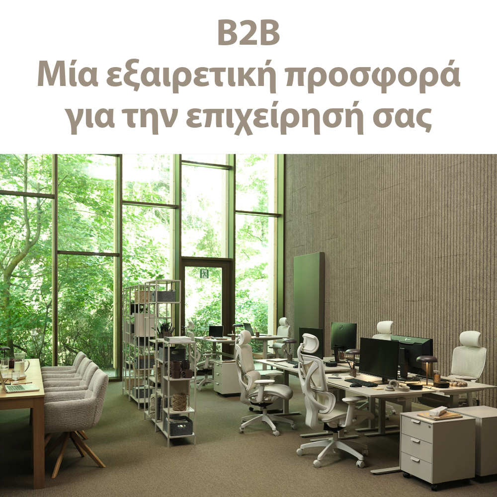 B2B - Μία εξαιρετική προσφορά για την επιχείρησή σας